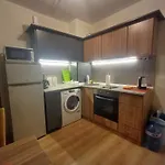 Reina Flores Park Apartment